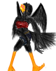 Prev Image