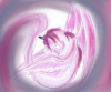 Prev Image