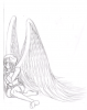 Prev Image