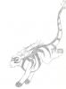 Prev Image
