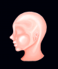 Prev Image