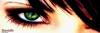 Prev Image