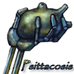 Psittacosis's Avatar