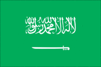 TWG Saudi Arabia's Avatar