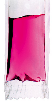 Freezepop