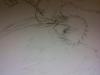 Prev Image