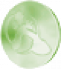 Prev Image