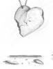 Prev Image