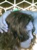 Prev Image