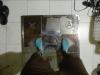 Prev Image