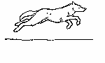 Celestial_Wolf