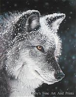 GreyWolfe