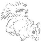 Squirrel tails