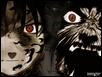 tricky888naruto