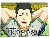 TN_shikamaru