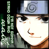 hidden-ninja
