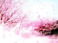 sakura_blossomz