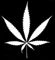 i_baked_some_pot