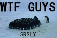 SirDiesAlot