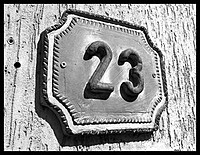 noxert323