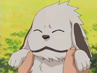 TN_Akamaru