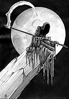 skull975's Avatar