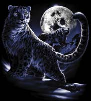 MoonLightLiger