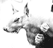 hairyhabenaro's Avatar