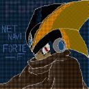 forteXX