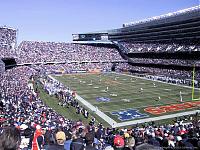 dabears54