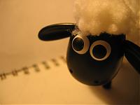 BiSheep