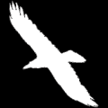 warhawkhalo101's Avatar