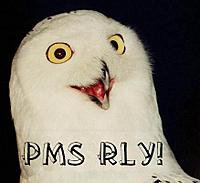 PMS_RLY