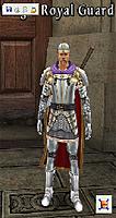 THE ROYAL GUARD!!!