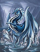 Bluedragon 0 0