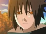 dochi-kun
