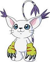GatoMosca