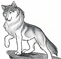 Koshi Nomado