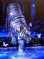 Dragon_Fanatic