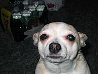 User_Name: