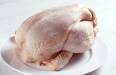 chicken 439