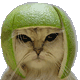 darkdieuguerre's Avatar