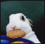 keiki_honu's Avatar
