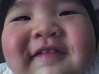 shellyvu