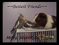 imurs4ever527