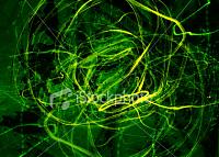 TD_Acid