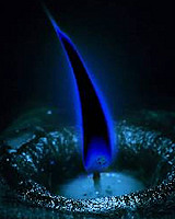DFBlackfire