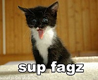 XxSleepyKittenxX
