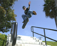 sk8_skate