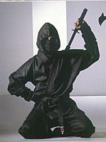 Dark The Ninja